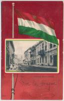 Eger, Széchenyi utca, M. kir. posta. Szecessziós magyar zászlós litho keret / Art Nouveau litho frame with Hungarian flag (EK)