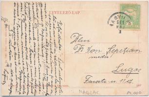 1911 Nagylak, Nadlac; Ligeti részlet, Tábla "Az ültetvényeket rongálni szigorúan tiltva van&quo...