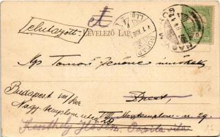 1907 Nagymaros, Nagy-Maros; Part részlet (Loreley), komp, csónak. Divald Károly 359. sz. (EK)