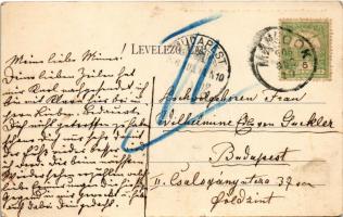 1906 Mándok, Gróf Forgách kastély, téli kert. Mándok és Vidéke községi hitelszövetkezet fogyasztási ...