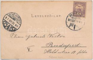 1901 Nagyszeben, Hermannstadt, Sibiu; Szecessziós címeres montázs. G.A. Seraphin, Jos. Drotleff / Ar...