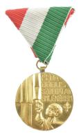 1987. Pedagógus Szolgálati Emlékérem aranyozott bronz kitüntetés mellszalagon (36mm) T:1- NMK714