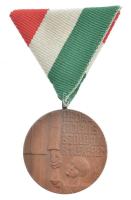 1975. Pedagógus Szolgálati Emlékérem 1974 bronz kitüntetés mellszalagon (34mm) T:1- NMK714