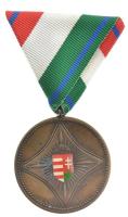 2010. Rendkívüli Helytállásért állami kitüntetés bronz fokozata műgyantás magyar koronás címerrel mellszalagon T:2
