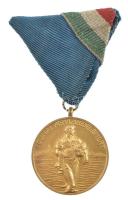 1956. Dunai Árvízvédelemért aranyozott bronz kitüntetés szükség mellszalagon T:1 NMK600