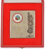 1977. Törzsgárda Tag 15 év - Budaprint Budapest zománcozott fém emlékplakett bronz rátéttel, hátoldalon névre szóló gravírozott eredeti dísztokban (105x89mm) T:1-