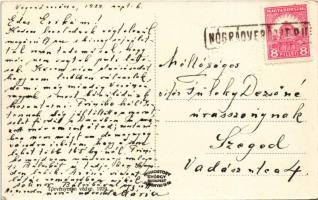 1929 Verőce, Nógrádverőce; Dunagyöngye strandfürdő + "NÓGRÁDVERŐCZE P.U."