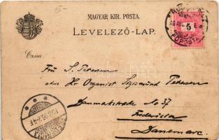 1896 (Vorläufer!) Budapest, Margitszigeti fürdőház, új országház. Magyar címer, Art Nouveau, floral,...