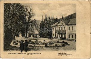 1907 Hársfalva-gyógyfürdő (Szolyva), Nelipino, Nelipyno; Rudolf vár, igazgatósági iroda / villa, spa directorate office (kis szakadás / small tear)