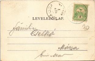 1903 Temesújfalu, Temesvár-Újfalu, Neudorf; Kastel Graf Zselinski. Wohnung Seiner Majestät Franz Jos...