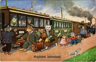 Majdnem lekéstük! Macskák a vasútállomáson, vonat / Cats at the railway station, train, humour.