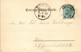 1900 Etsdorf am Kamp, castle, church, street view. Photograph Seering Nr. 118. (crease)