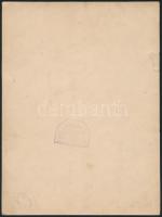 cca 1930-1940 Frontharcos rendezvény, összejövetel, hátoldalán pecséttel jelzett, nagyméretű fotó Di...