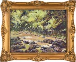 Haulisch Gusztáv (?-?): Erdei patak Olaj, vászon, kartonra kasírozva, jelzett. Dekoratív fakeretben, 18,5×24,5 cm
