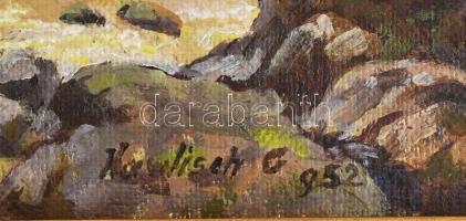 Haulisch Gusztáv (?-?): Erdei patak Olaj, vászon, kartonra kasírozva, jelzett. Dekoratív fakeretben,...