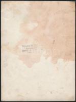 cca 1930-1940 Wulff Olaf Richárd, a Mária Terézia-rend lovagja, a Dunaflottilla parancsnoka fiának e...