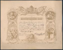 1883 Kitüntetési lap Wenczel Árpád tanuló részére a lipótvárosi iskolaszéktől, címeres arany litográfia, Sretvizer Lajos (1845-1926) fővárosi igazgató tanító, oktatáspolitikus aláírásával . 24x18 cm