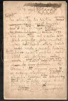 cca 1860 Wenczel Gusztáv (1812-1891.) bölcseleti és jogi doktor, egyetemi tanár családjából származó...