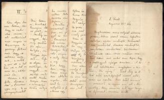 cca 1860 Wenczel Gusztáv (1812-1891.) bölcseleti és jogi doktor, egyetemi tanár családjából származó...