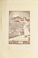 Mécs László: Élőket nézek. Versek. Bp., [1938], Révai, 142 p. Kiadói papírkötés, sérült, foltos borí...