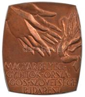 1980. Magyar Bélyeggyűjtők Országos Szövetsége Budapest / Magyarország-Belgium 1980 egyoldalas bronz plakett (65x56mm) T:1-