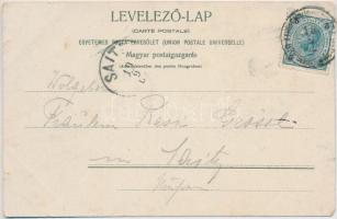 1902 Sasvár, Sassin, Sastín (Sasvár-Morvaőr, Sastín-Stráze); Zur Erinnerung an das Kaisermanöver in ...