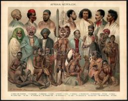 cca 1896 Népfajok (amerikai, afrikai, ausztráliai, ázsiai), 4 db nyomat, papír, Pallas Nagy Lexikona...