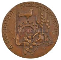 Lajos József (1936-) DN A szocialista mezőgazdaságért egyoldalas bronz emlékérem (91mm) T:1-