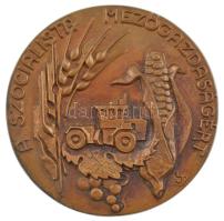 Lajos József (1936-) DN "A szocialista mezőgazdaságért" egyoldalas bronz emlékérem (94mm) ...