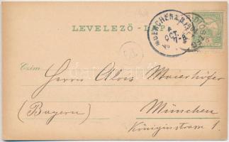 1901 Bihardiószeg, Bihar-Diószeg, Diosig; Berger Ignácz és fia fa és sóraktára, üzlet, Református te...