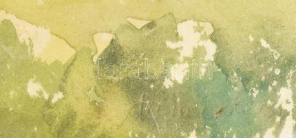 Jelzés nélkül: Magányos sátor, Bükkszék, 1968. Akvarell, papír, lap alja sérült. Üvegezett fakeretbe...