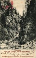 1906 Szebenjuharos, Hohe Rinne, Paltinis (Nagyszeben, Sibiu); Gruss vom Kurhaus Auf der hohen Rinne, Zibinsklamm / völgy / valley (EB)