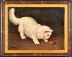 Császár B Jelzéssel: Játszó cica. Olaj, karton, Dekoratív, kissé sérült fakeretben. 30x39 cm.