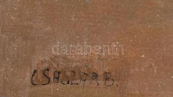 Császár B Jelzéssel: Játszó cica. Olaj, karton, Dekoratív, kissé sérült fakeretben. 30x39 cm