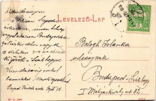 1908 Mehádia, Mehadia; látkép. W.L. 1494. / Ansicht / general view (EK)