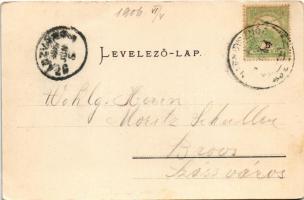 1906 Nagydisznód, Heltau, Cisnadie; látkép. Chromophototypie von Jos. Drotleff / general view (fa)