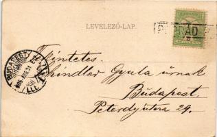 1905 Tátralomnic, Tatranská Lomnica (Magas-Tátra, Vysoké Tatry); Tátra-Lomnicz szálloda / hotel (fl)