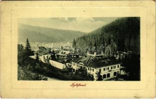 1913 Iglófüred, Bad Zipser Neudorf, Kúpele Spisská Nová Ves; látkép. W.L. Bp. 2804. Ferencz D. kiadása / general view, spa (EK)