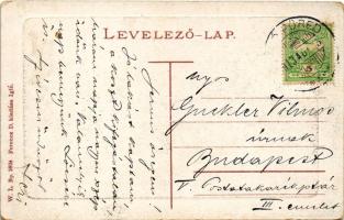 1913 Iglófüred, Bad Zipser Neudorf, Kúpele Spisská Nová Ves; látkép. W.L. Bp. 2804. Ferencz D. kiadá...