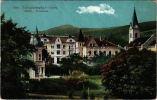 1914 Trencsénteplic-fürdő, Kúpele Trencianske Teplice; Sétatér. Wertheim Zsigmond kiadása / Promenade (EK)