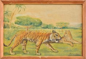 Dienes jelzéssel: Tigris. Akvarell, papír. Üvegezett fakeretben, 19,5×30 cm