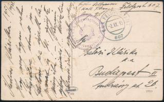 1915 Tábori posta képeslap K.u.k. Fliegerregiment / Fliegerkompagnie Nr.17. + FP 607