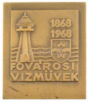 1968. Fővárosi Vízművek 1868-1968 bronz emlékplakett (58x50mm) T:1