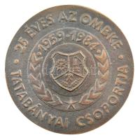 Kiss Sándor (1925-1999) 1984. 25 éves az OMBKE (Országos Magyar Bányászati és Kohászati Egyesület) Tatabányai Csoportja 1959-1984 kétoldalas öntött bronz emlékérem (80mm) T:1
