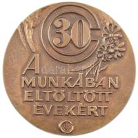 ~1970-1980. C 30 - A Munkában eltöltött évekért egyoldalas öntött bronz plakett (96mm) T:1
