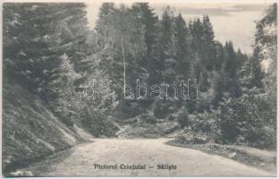 Szelistye, Salistea Sibiului, Saliste; Piciorul Crintului / út / road