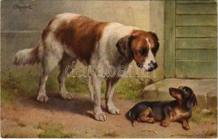 Bernhardiner und Dackel / St. Bernard and Dachshund dog. T.S.N. Serie 1337. (4 Muster) s: Carl Reichert