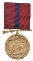 Amerikai Egyesült Államok DN Tengerészgyalogság bronz kitüntetés mellszalaggal T:1-  USA ND United States Marina Corps bronze decoration with ribbon C:AU