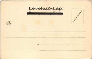 Frankfurt am Main, general view. Kunstanstalt Kosmos S. IV. litho (EK)