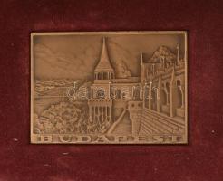cca 1940-1960 Bascsák János (1929-2009) egy sikeres kerékpáros versenyző hagyatéka. Több mint 50 díj...